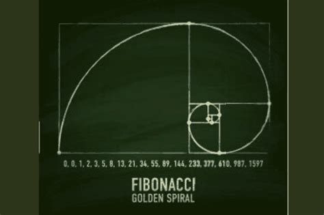 fibonacci spiel stern